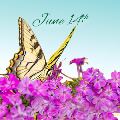 Butterfly Release Memorial 2026 - logo